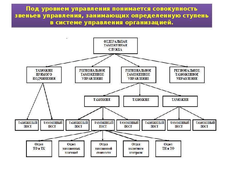 Единая федеральная система таможенных органов. Система управления ФТС. Структура организационной структуры таможенных органов.