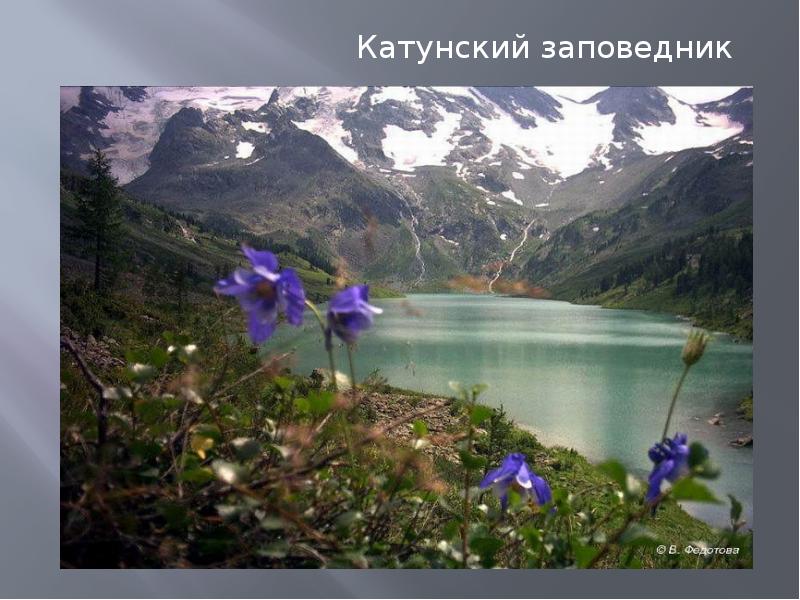 Катунский заповедник