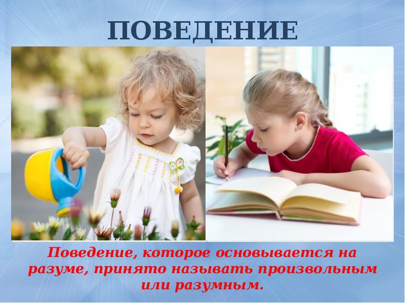 Поведением человека называют. Поведение. Поведение и поступок Обществознание. Произвольное поведение примеры. Поступок это в обществознании.