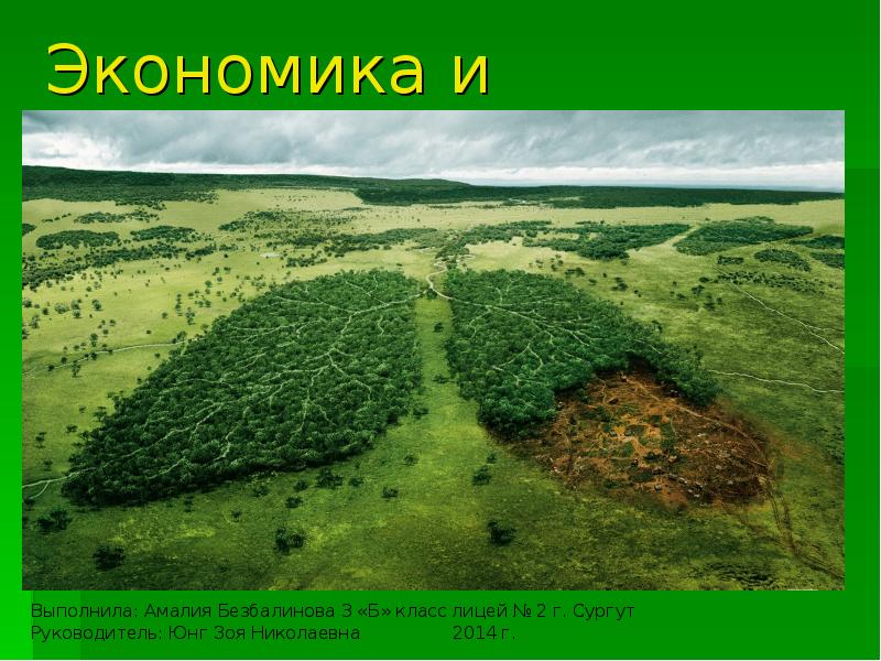 Экономика и экология.
Выполнила: Амалия Безбалинова 3 «Б» класс лицей № Экономика и экология.
Выполнила: Амалия Безбалинова 3 «Б» класс лицей №