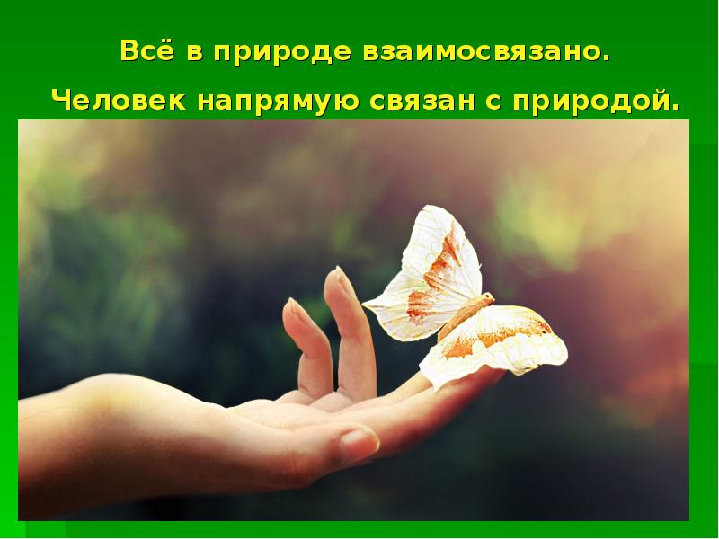 Всё в природе взаимосвязано. Человек напрямую связан с природой. Всё в природе взаимосвязано. Человек напрямую связан с природой.
