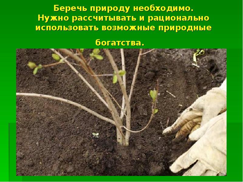 Беречь природу необходимо. Нужно рассчитывать и рационально использовать возможные природные богатства. Беречь природу необходимо. Нужно рассчитывать и рационально использовать возможные природные богатства.