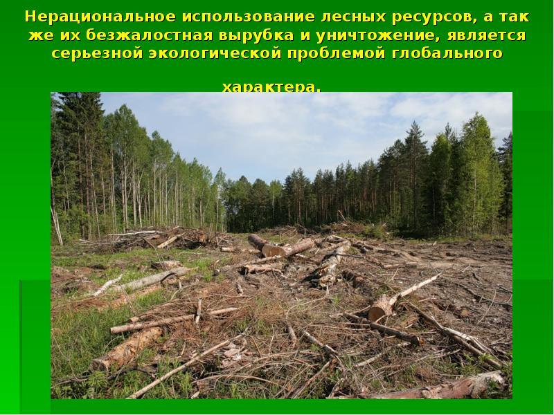 Нерациональное использование лесных ресурсов, а так же их безжалостная вырубка и Нерациональное использование лесных ресурсов, а так же их безжалостная вырубка и