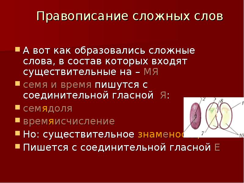 Правописание сложных слов 10 класс презентация