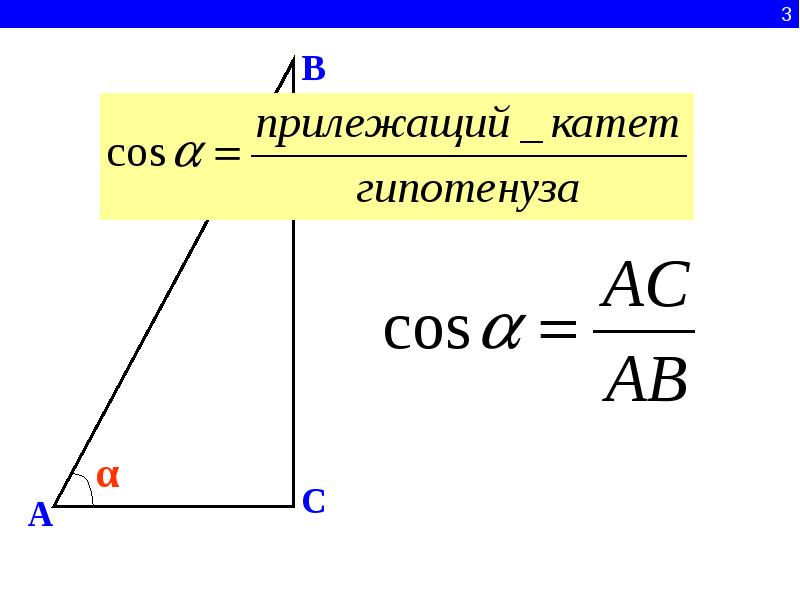 Где прилежащий катет. Прилежащий катет. Длина противолежащего катета.