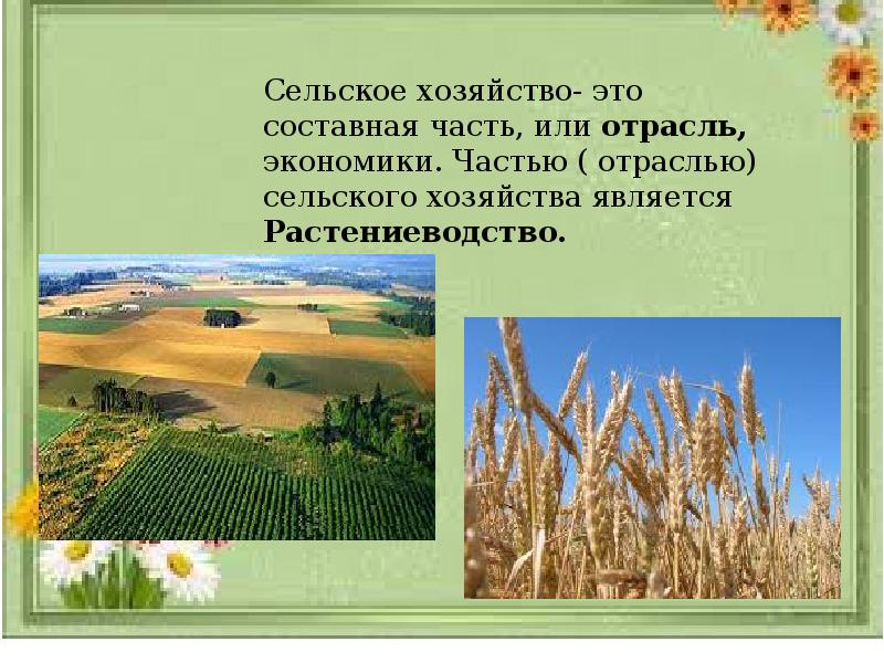 Презентация растениеводство 3 класс окружающий мир презентация