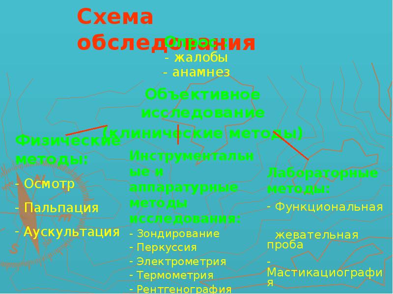 Схема обследования пациента в стоматологии