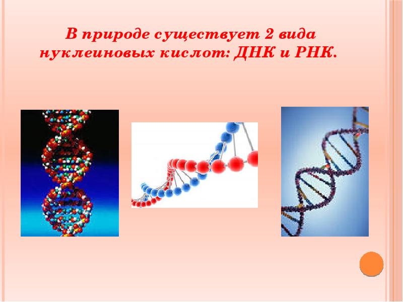 Нуклеиновые формы жизни. ДНК. Нуклеиновые кислоты ДНК И РНК. РНК В природе. ДНК И РНК В природе.