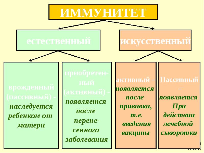 Презентация на тему иммунитет 10 класс