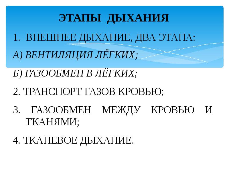 Дыхание 2 4 7. Внешнее дыхание это газообмен между. 4 Этапа дыхания. Система дыхания 2/4. Этапы дыхания у цыпленка.