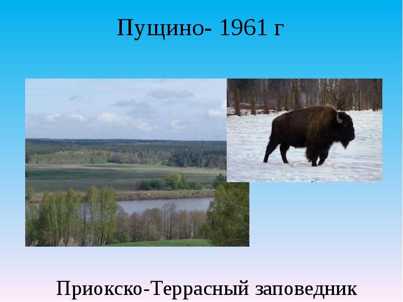 Путешествие по оке 2 класс окружающий мир презентация