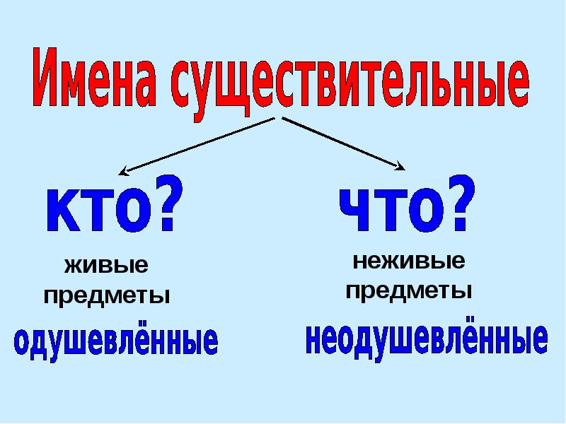 Проект на тему имя существительное