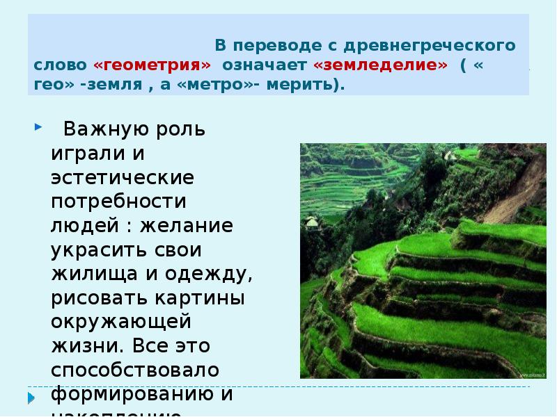 Гео участки. Что означает слово геометрия. Как переводится с греческого слово геометрия. Значение слова геометрия 4 класс. С греческого слова Гео.