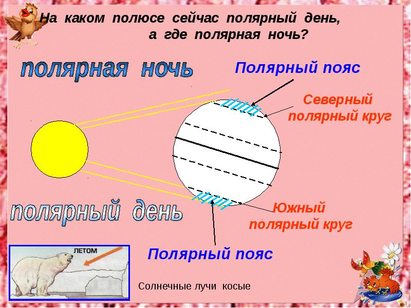 Полярные круги на земле. Южный полюс Полярный день. Полярная ночь причины. Где бывают Полярные дни и ночи. Полярный день в каком поюсе.