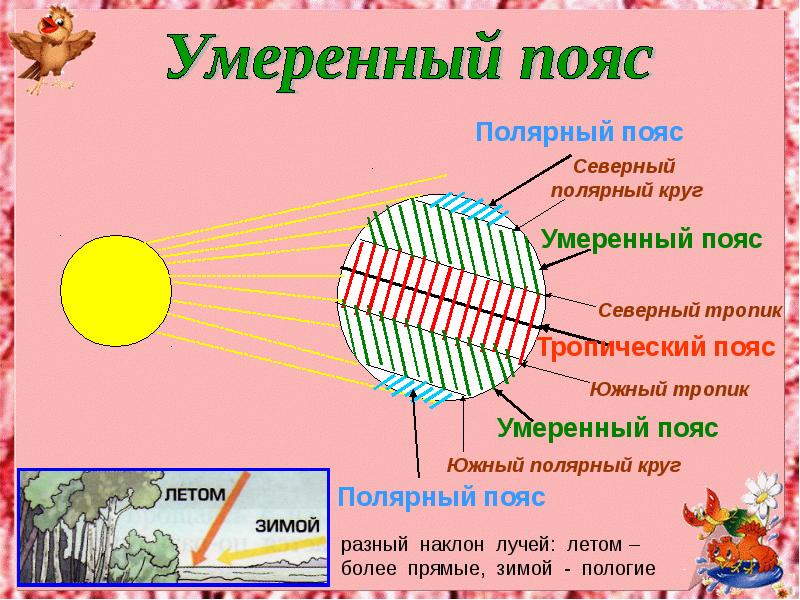 Северный пояс земли. Северный Полярный пояс. Северный Тропик пояс. Умеренный пояс земли. Северный умеренный пояс.