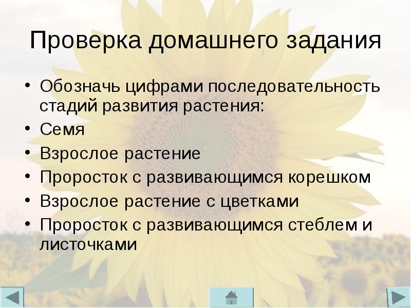 Презентация охрана растений 6 класс