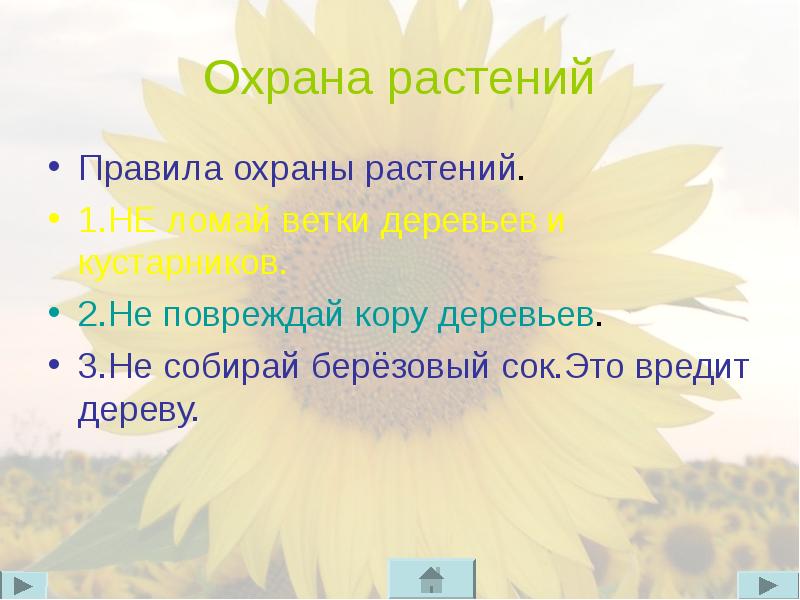 Охрана растений презентация 3 класс окружающий мир плешаков презентация и конспект