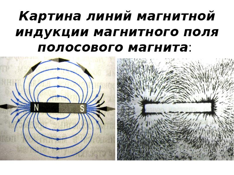 Картина линий магнитной индукции магнитного поля полосового магнита: