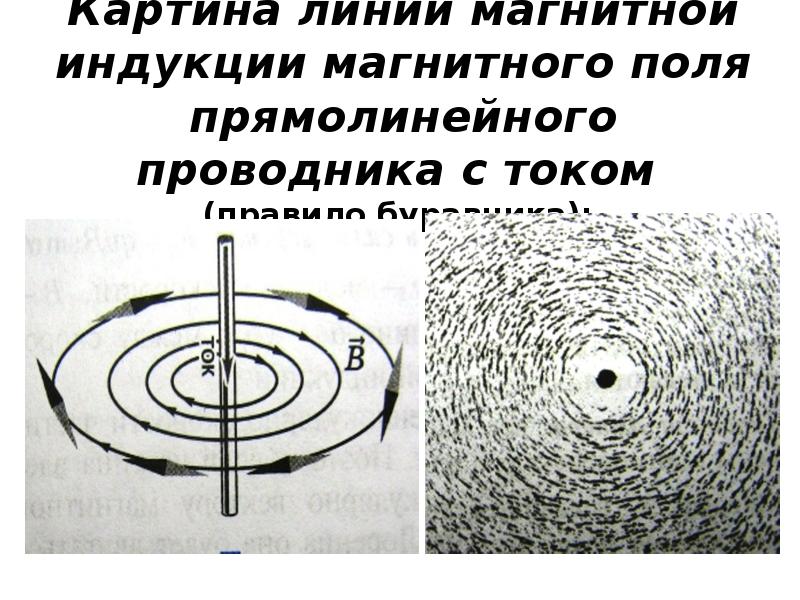 Картина линий магнитной индукции магнитного поля прямолинейного проводника с током 