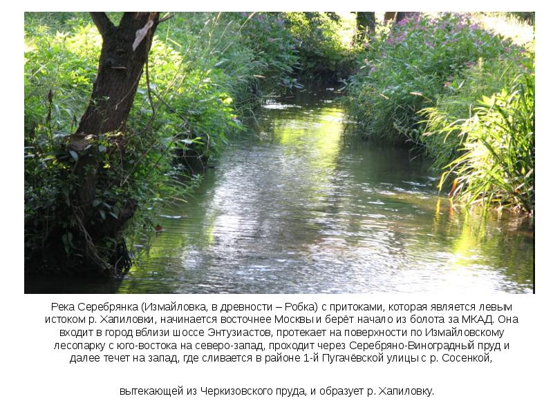 Река Серебрянка (Измайловка, в древности – Робка) с притоками, которая является