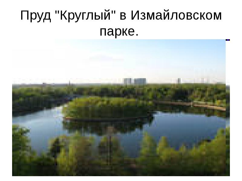 Пруд "Круглый" в Измайловском парке.