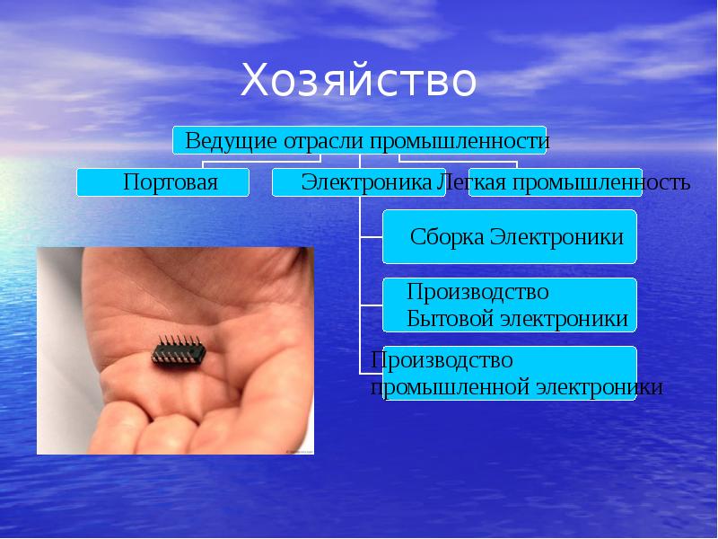 Хозяйство Хозяйство