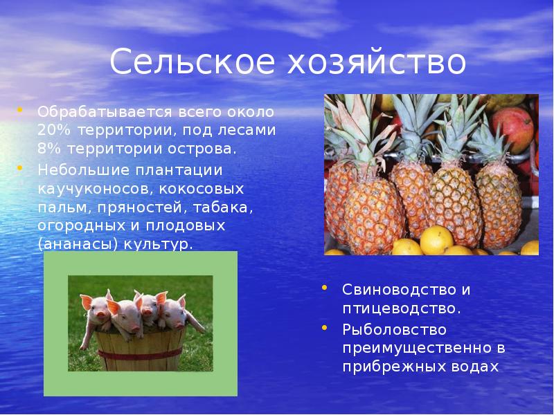 Сельское хозяйство
Обрабатывается всего около 20% территории, под лесами 8% территории Сельское хозяйство
Обрабатывается всего около 20% территории, под лесами 8% территории