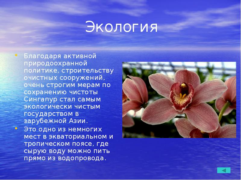 Экология
Благодаря активной природоохранной политике, строительству очистных сооружений, очень строгим мерам Экология
Благодаря активной природоохранной политике, строительству очистных сооружений, очень строгим мерам