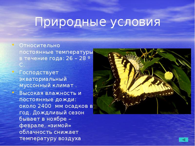 Природные условия
Относительно постоянные температуры в течение года: 26 – 28 Природные условия
Относительно постоянные температуры в течение года: 26 – 28