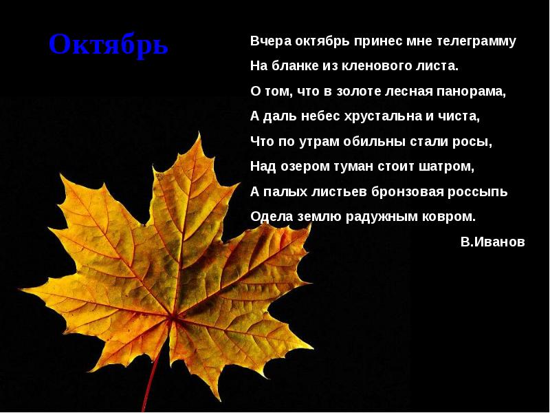 Кленовый лист. Симметричный лист. Симметрия в природе листья.