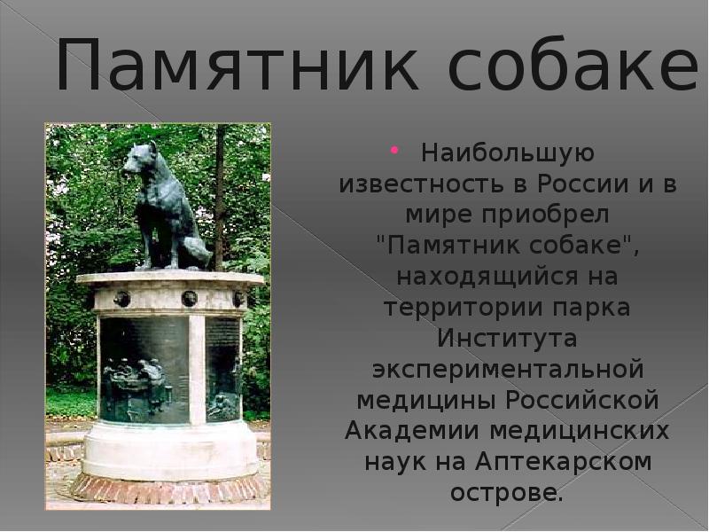 Памятники кошкам и собакам презентация