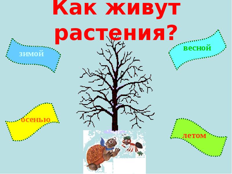 Как живут растения презентация 1 класс школа россии