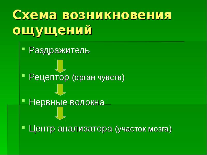 Возникновение ощущений схема