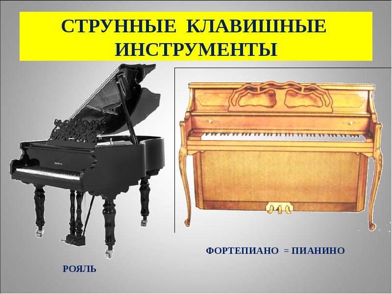 Струнные музыкальные инструменты