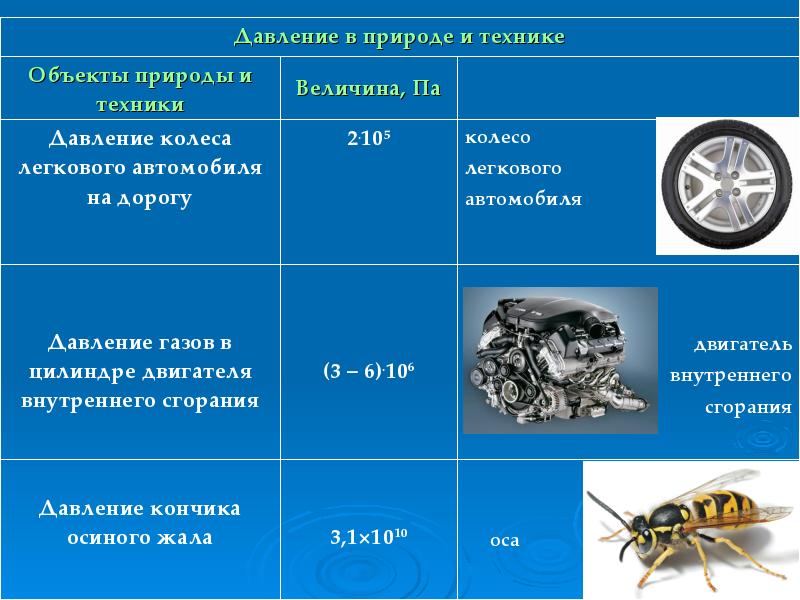 Примеры увеличения. Давление в природе и технике. Давление в технике. Давление в природе, быту и технике. Давление в природе примеры.