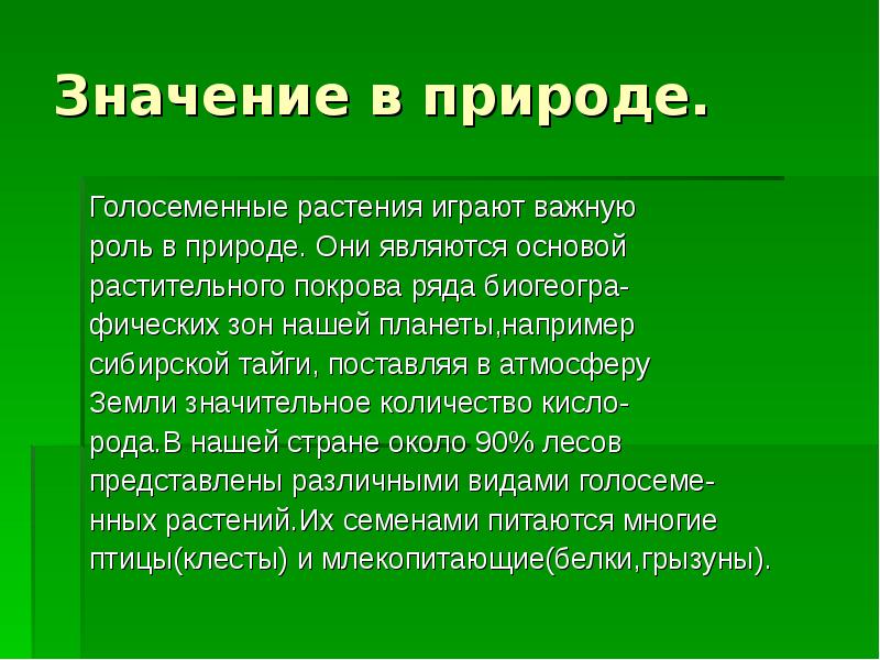 Голосеменные презентация 6 класс