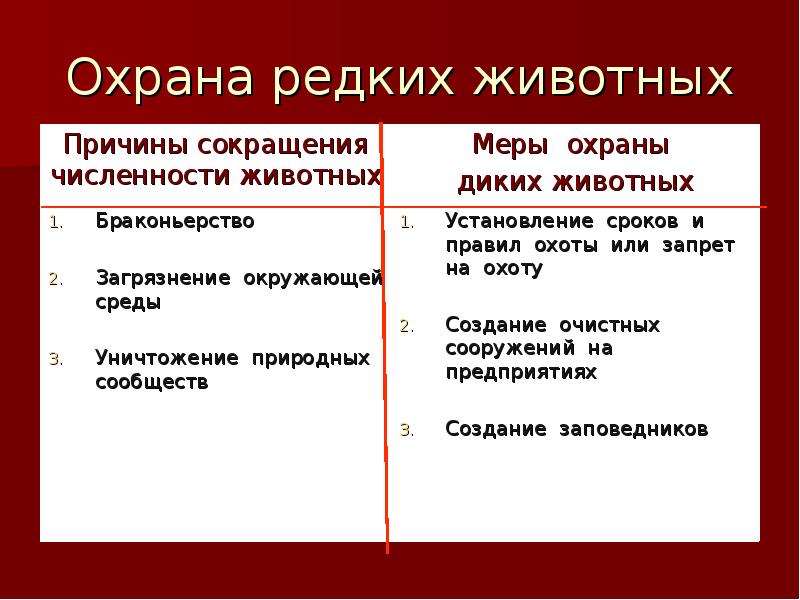 Охрана редких животных. Меры охраны редких животных. Меры охраны редких растений и животных. Охрана редких и исчезающих видов. Меры по охране исчезающих животных.