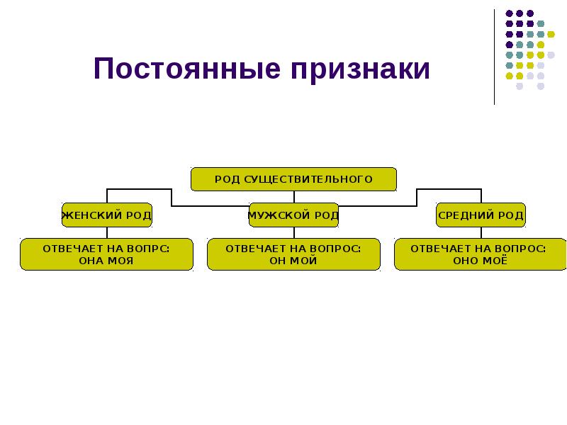 Род какой признак. Постоянные признаки слова ковре. Выбери все признаки выделенного существительного. Постоянные признаки существительного на ковре. Постоянные признаки существительного ч.