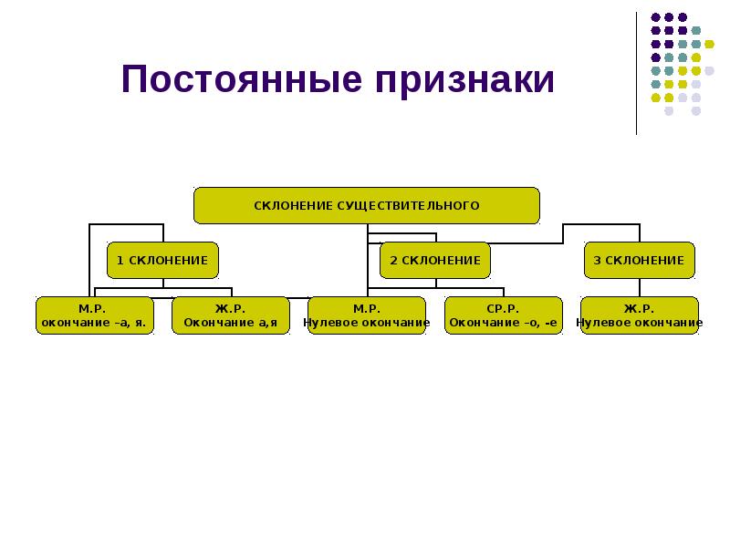 Постоянные признаки. Постоянные грамматические признаки существительных. Существительное непостоянные признаки. Постоянные признаки имени существительного.