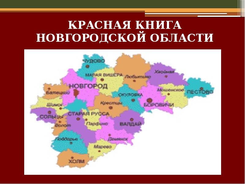 Животные красной книги новгородской области фото