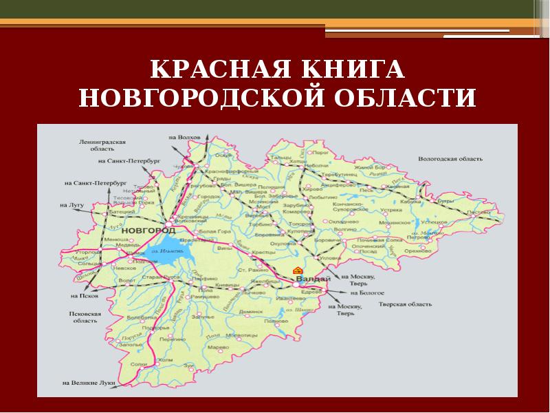 Описание новгородской области. Красная книга Новгородской области. Красная книга Новгородской области книга. Животные красной книги Новгородской области. Красная книга Новгородской области доклад.