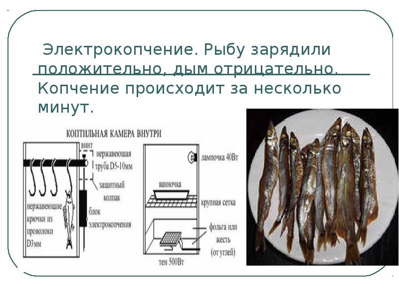 Происходит в несколько. Электрокопчение. Электрокопчение рыбы. Копчение электризация. Электрокопчение физика.