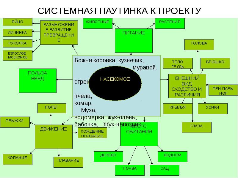 Паутинка проекта в доу по фгос образец