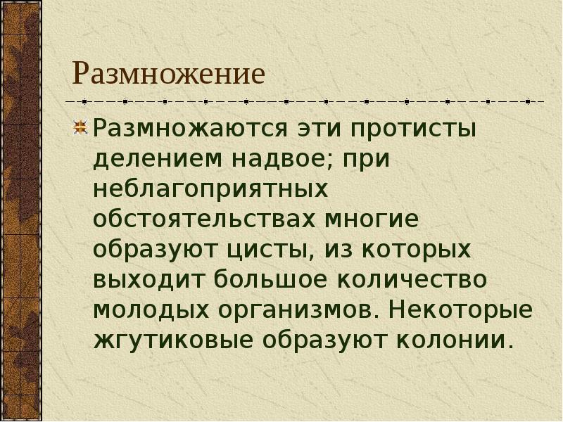 Размножение жгутиковых