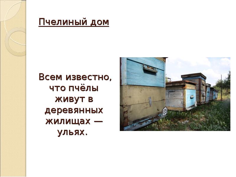 Замените словосочетание пчелиные домики. Дом Пчелина Челябинск. Пчелиный дом со связью управление. Все знают что пчелы живут в деревянных домиках ульях изложение.