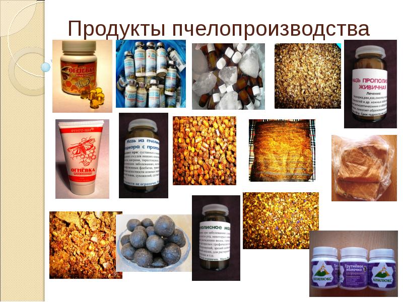 Продукты пчелопроизводства