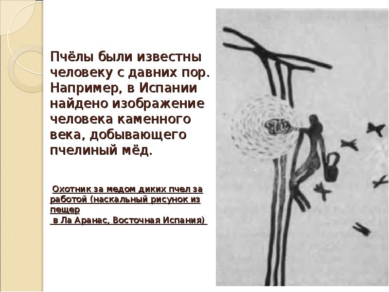 Изображение прародительницы именно такой лестницы найдено в одной из пещер в валенсии