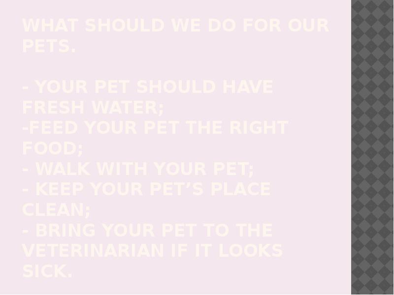 my pet презентация, доклад, проект