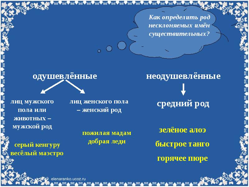 Маэстро род. Как определить род. Несклоняемые одушевленные существительные женского рода. Как определять как определять род. Одушевленные существительные мужского рода.