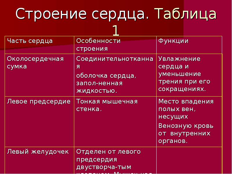 Таблица сердечный. Части сердца особенности строения функции. Строение сердца и их функции. Строение сердца человека таблица особенности и функции. Сердце строение и функции таблица.